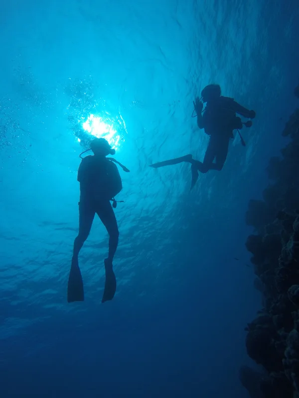 Advance in your dive career - Advance training course in Baa Atoll