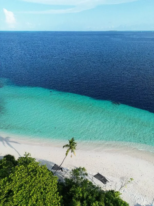 Manta Nomad Divers - Primary Image