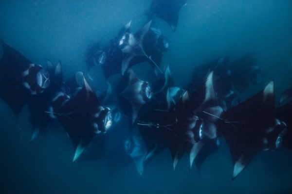 November Dive Special: 15% OFF All Packages