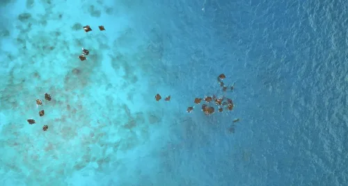 Opinion from a Small Dive Operator in Baa: How Dhonfanu Reclamation could affect every small, medium and large enterprise in Baa. And its possible impact on the environment and economy.