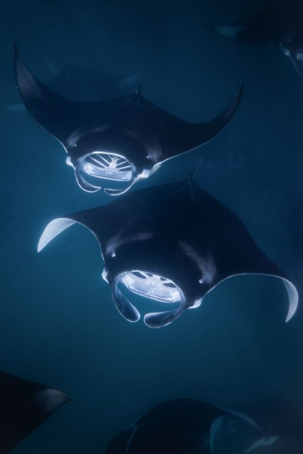 Peak Season Exclusive: 18% OFF (10 Slots Only)